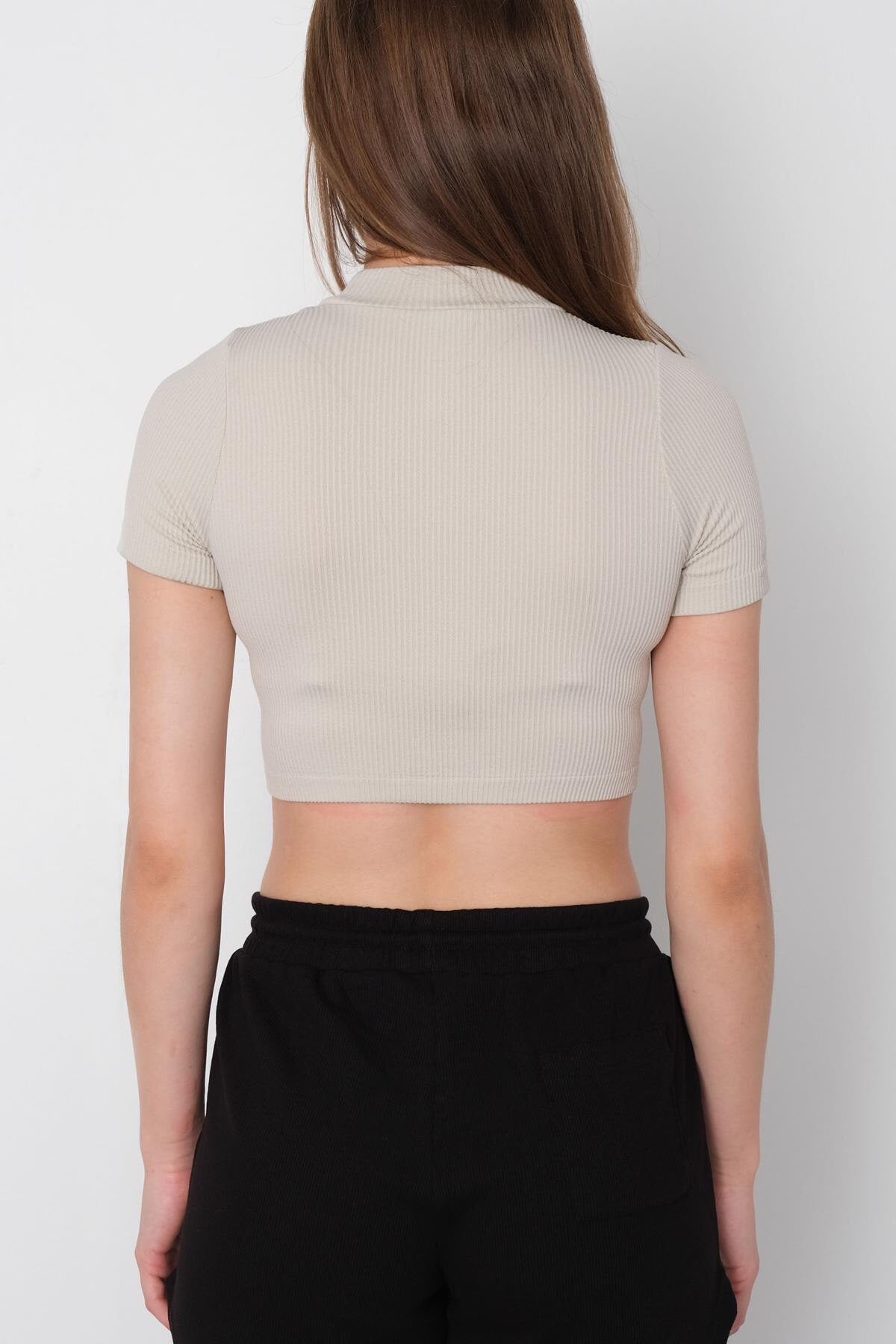 Stone_Seamless-T-Shirt-addax