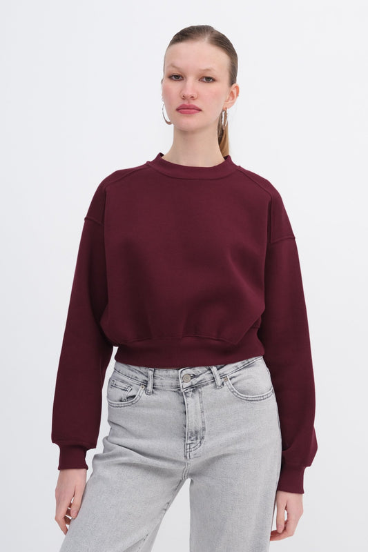 Burgundy_Brushed-Crew-Neck-Basic-Sweatshirt-addax