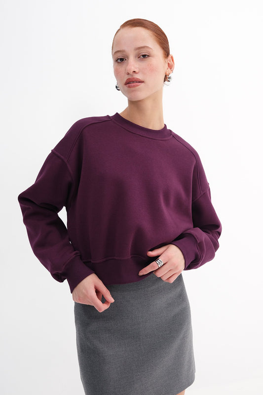 Damson_Brushed-Crew-Neck-Basic-Sweatshirt-addax