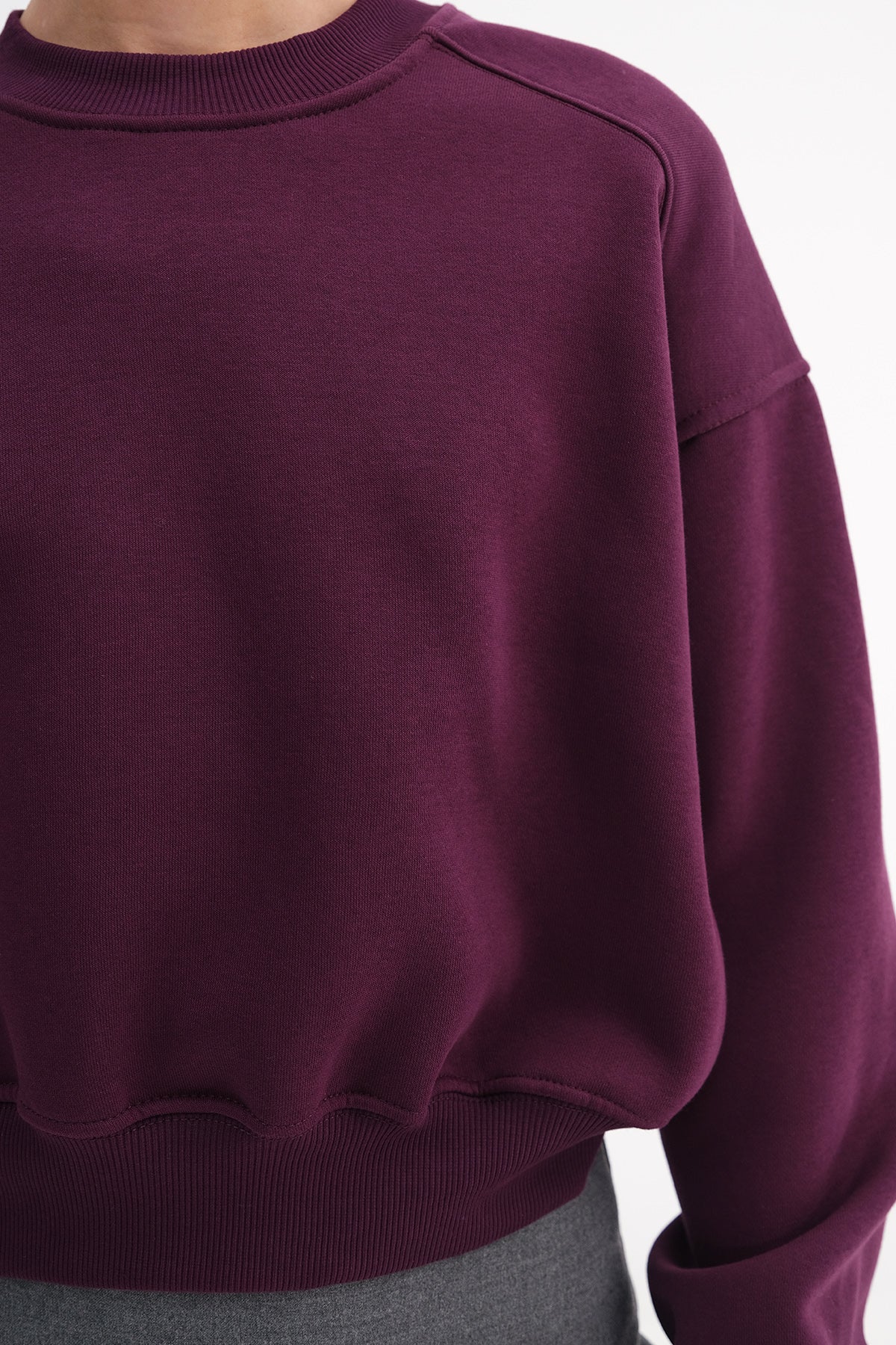 Damson_Brushed-Crew-Neck-Basic-Sweatshirt-addax