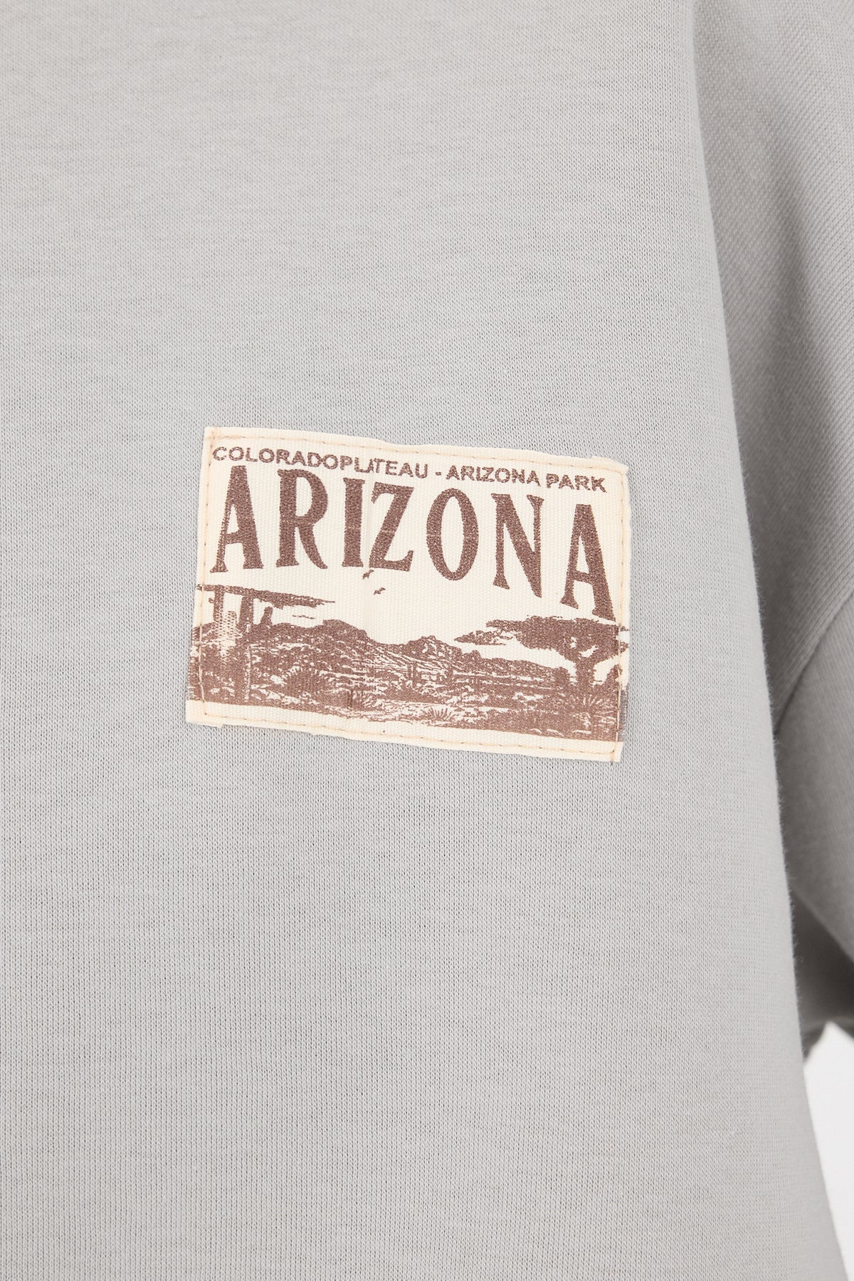 Grey_ARIZONA-Printed-Fleece-Sweatshirt-addax