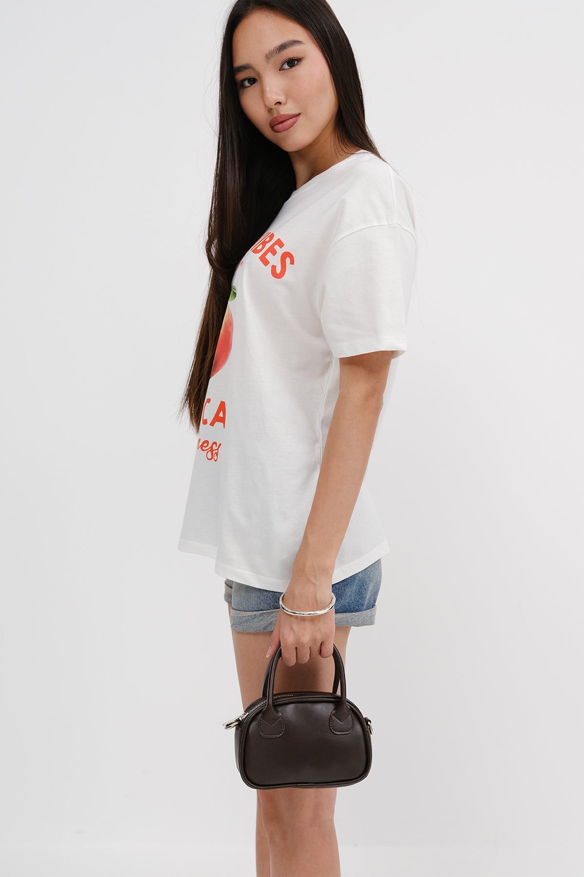 Bitter-Coffee_Zippered-Mini-Hand-and-Shoulder-Bag-addax
