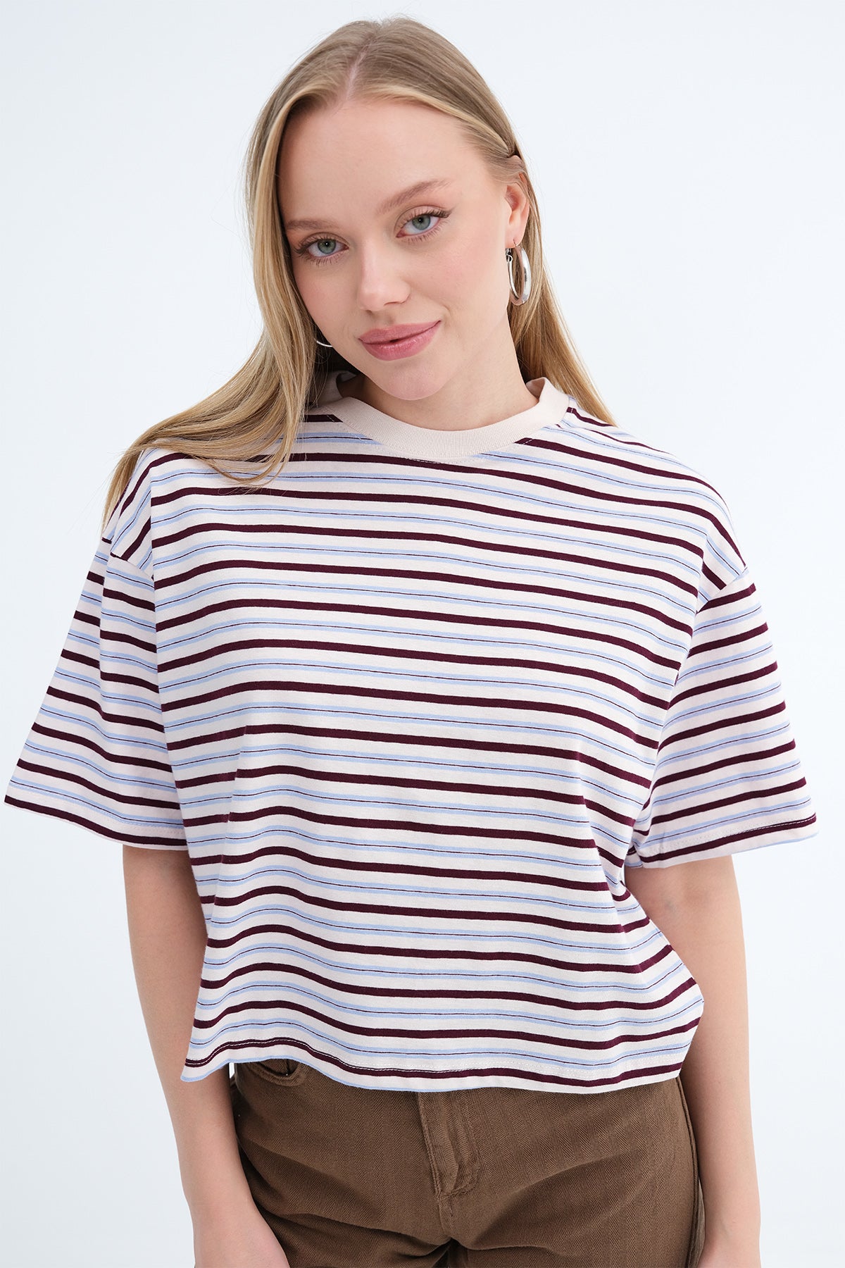 Brown---Blue_Striped-Short-Sleeve-T-shirt-addax