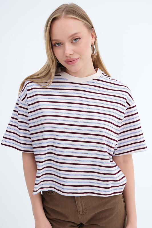 Brown---Blue_Striped-Short-Sleeve-T-shirt-addax