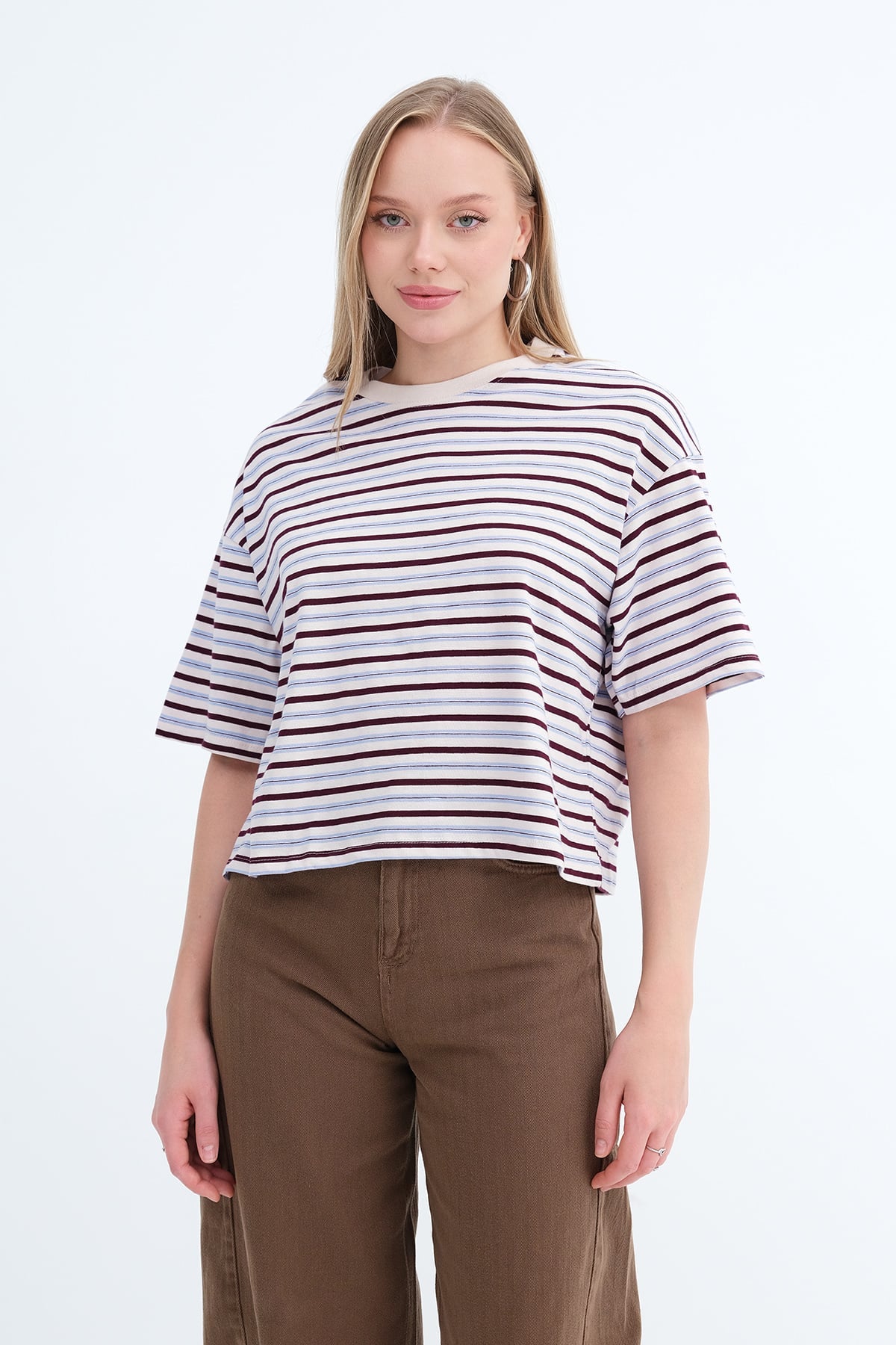 Brown---Blue_Striped-Short-Sleeve-T-shirt-addax