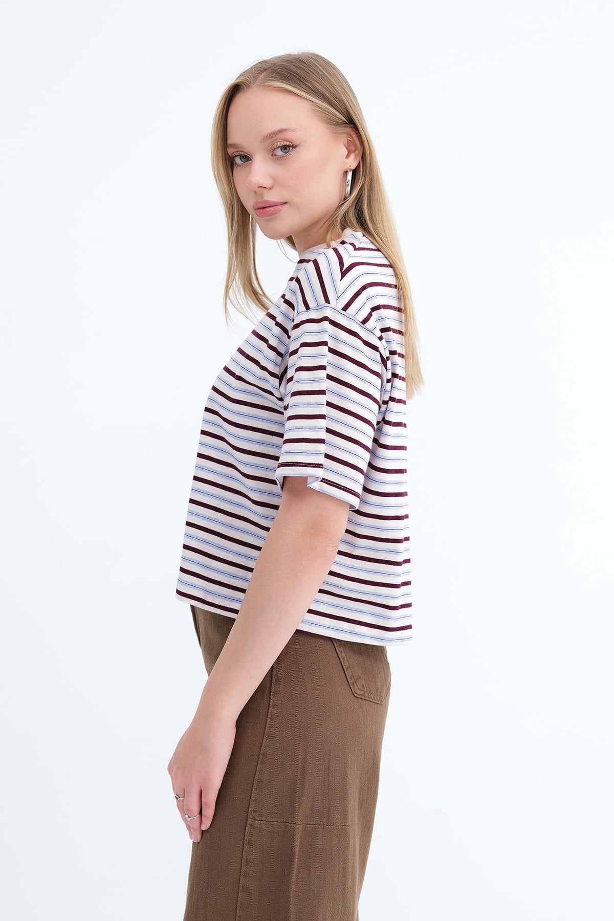 Brown---Blue_Striped-Short-Sleeve-T-shirt-addax