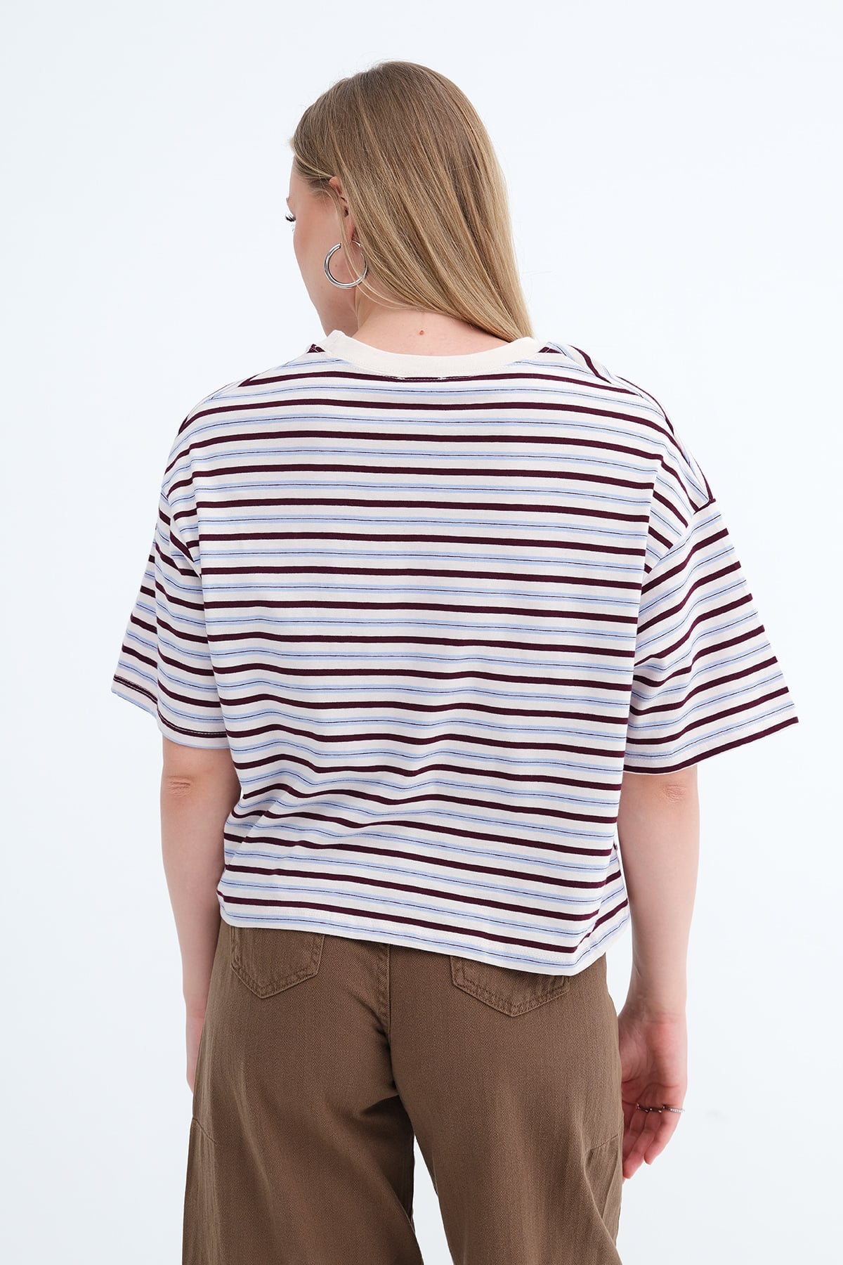 Brown---Blue_Striped-Short-Sleeve-T-shirt-addax