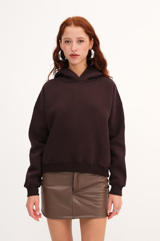 Bitter-Coffee_Hooded-Brushed-Sweatshirt-addax