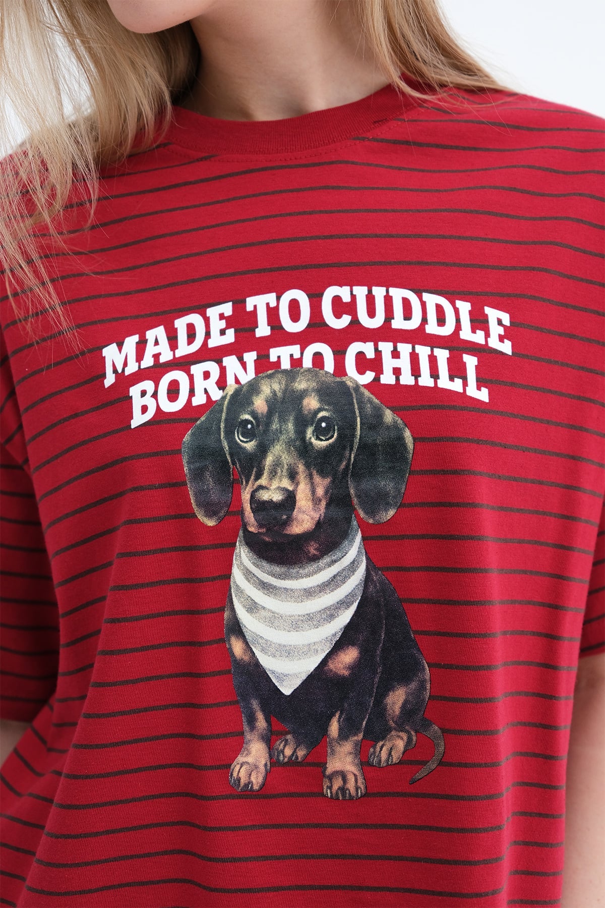 Bright-Red_Köpek-Baskılı-Çizgili-T-shirt-P10676-addax