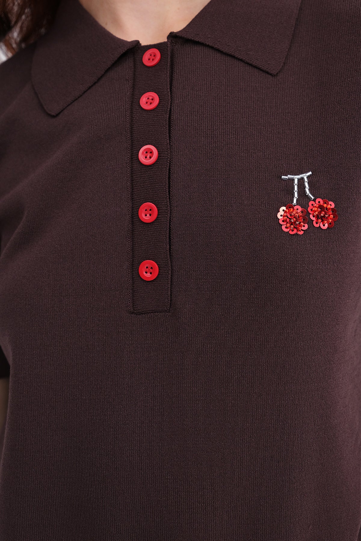 Brown_Sequin-Embroidered-Short-Sleeve-Knit-addax