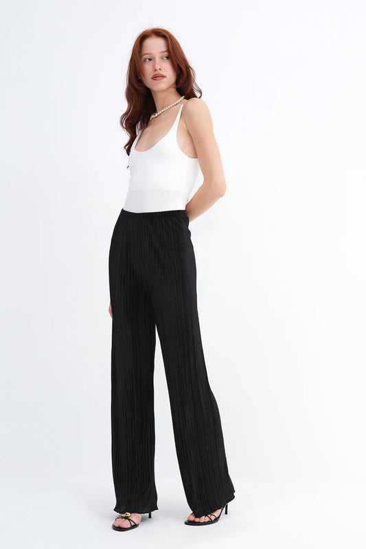 Pleated Wide Leg Pants
