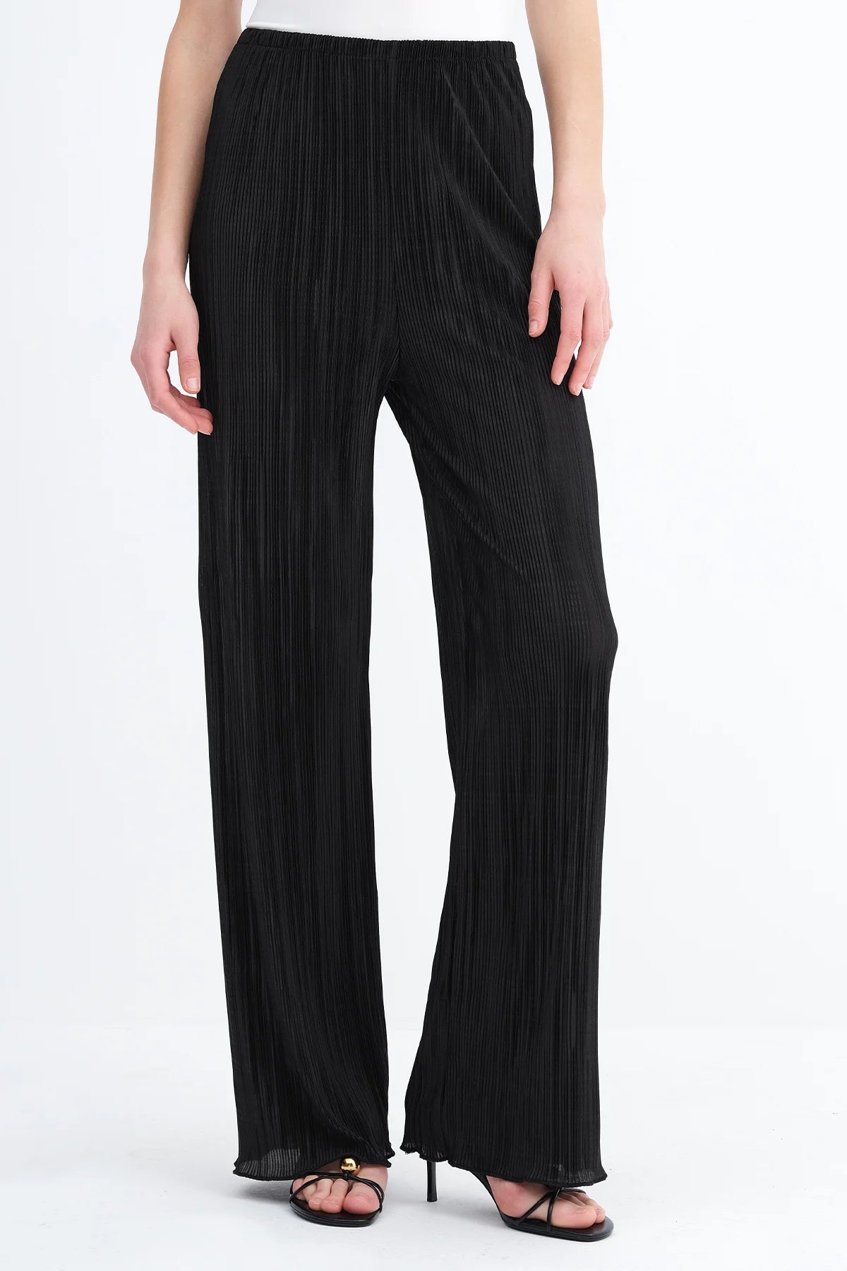 Pleated Wide Leg Pants