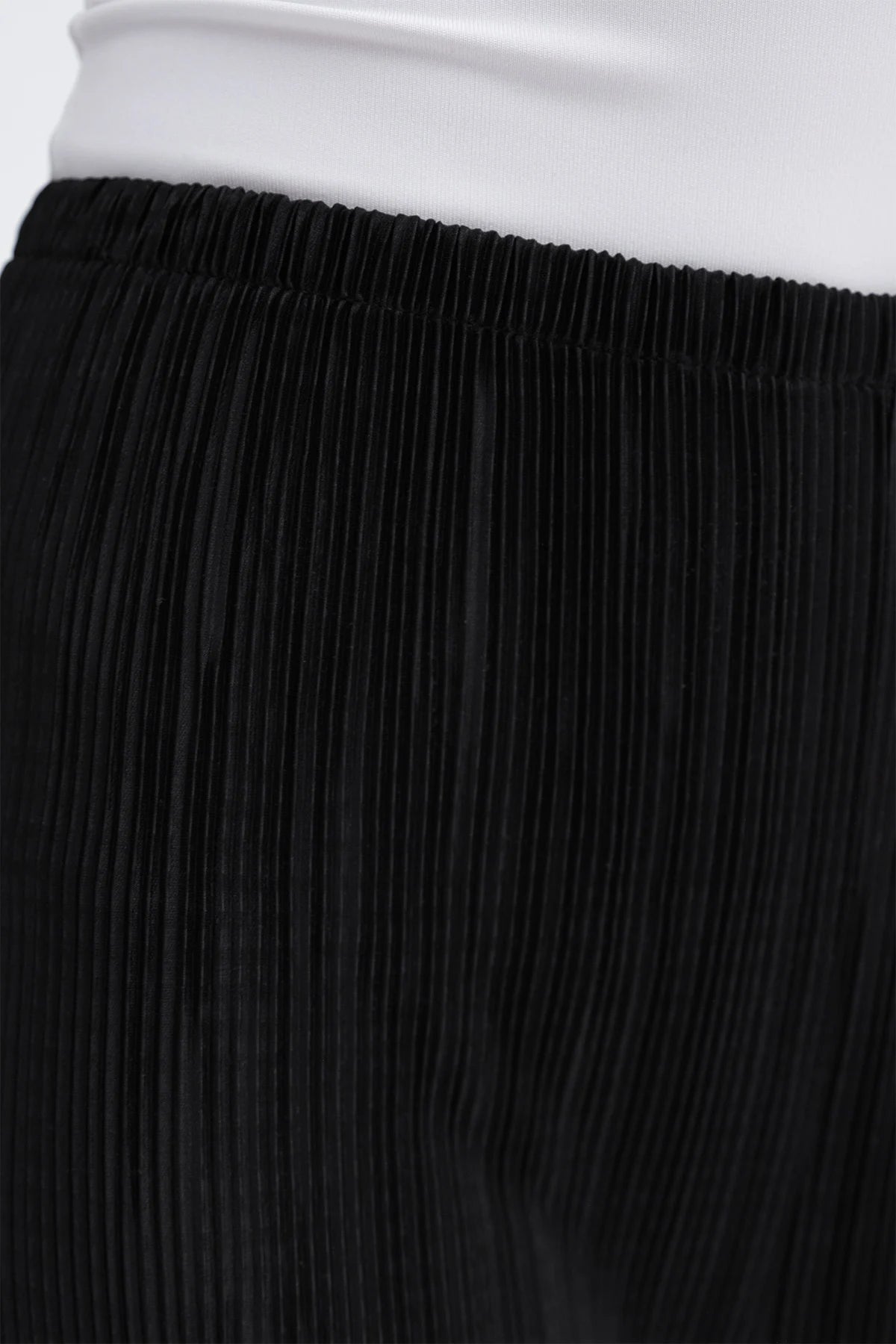 Pleated Wide Leg Pants