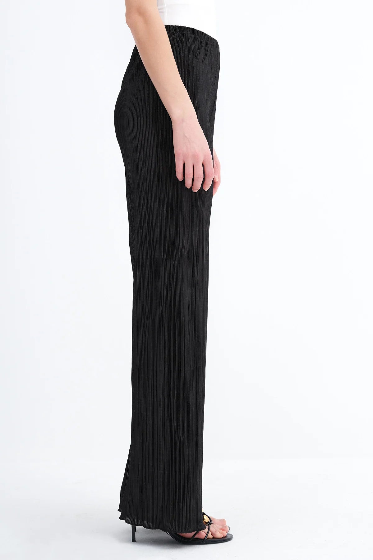 Pleated Wide Leg Pants