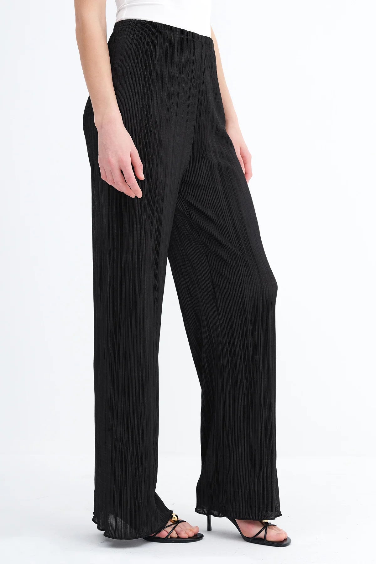 Pleated Wide Leg Pants