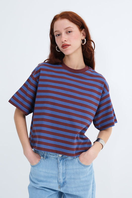 R.Blue-Brown_Crew-Neck-Striped-T-shirt-addax